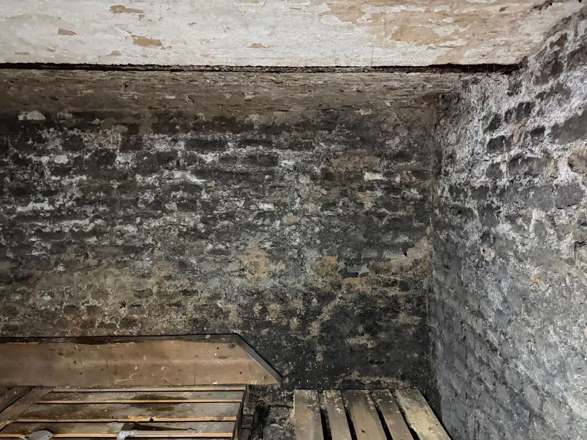 Mur de sous-sol enterré humide avec efflorescences de salpêtre sous un plancher à poutrelles IPN