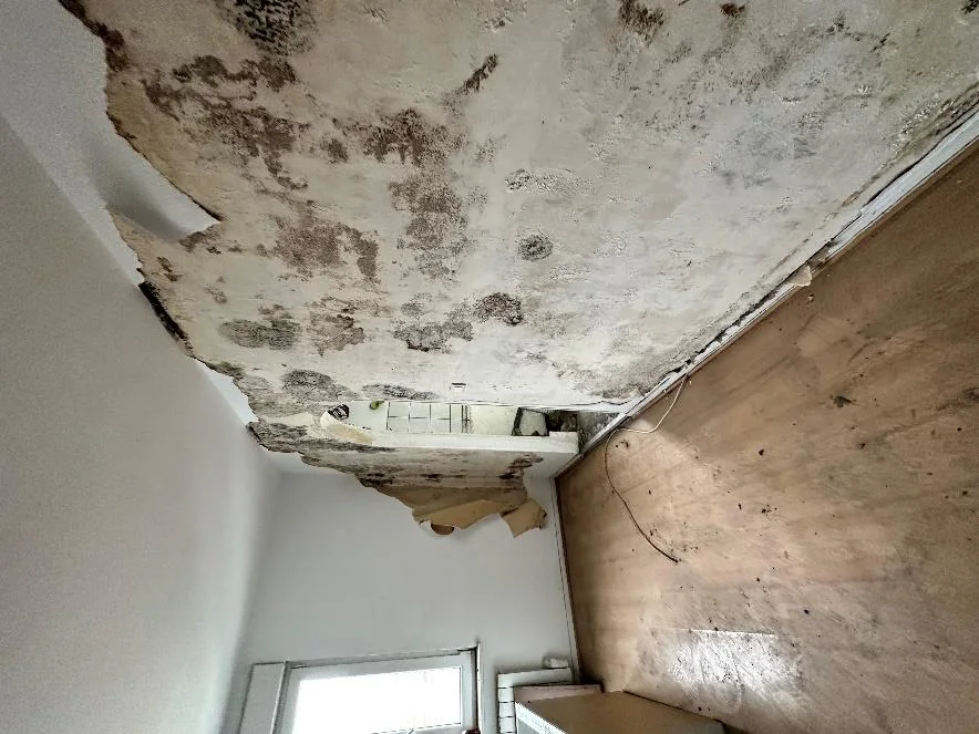 Plafond taché de moisissures sous un plancher bois humide dans un immeuble
