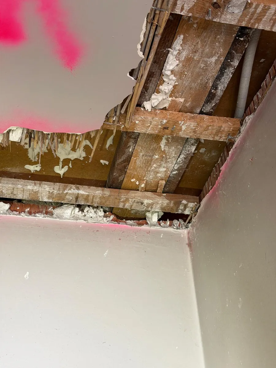 Plafond ancien déposé laissant voir les solives bois, le lattis en roseaux et l'appui sur le mur en briques