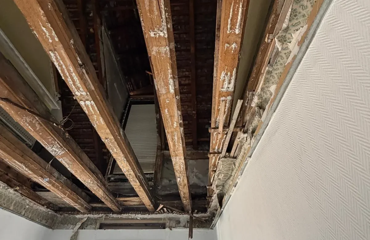 Plancher bois affaise solive