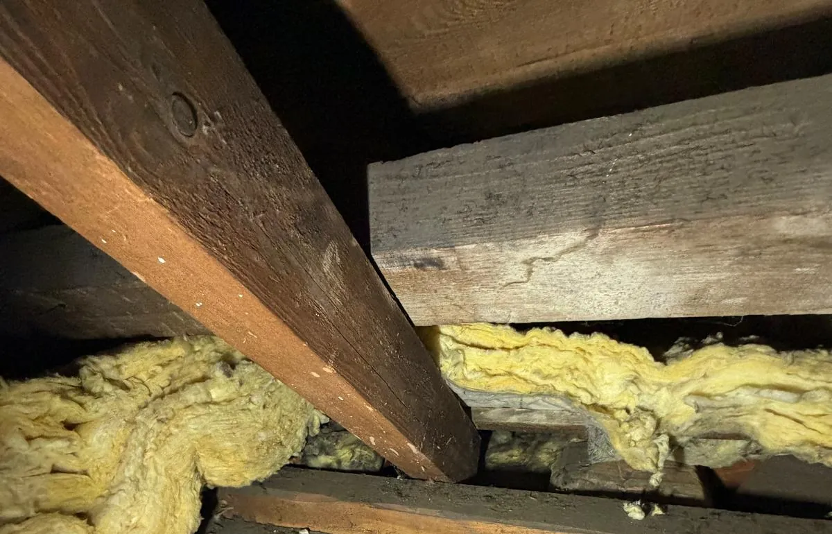 Solives et poutre d'un plancher bois de combles avec ancien isolant en laine minérale